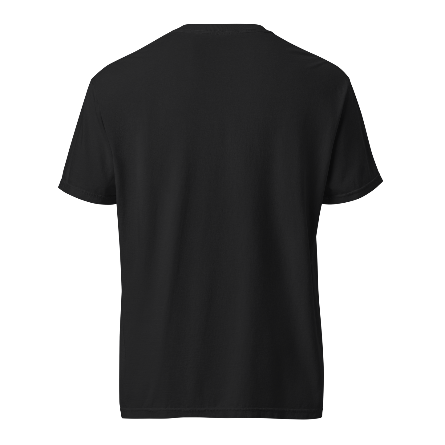 America’s 250th anniversary chicken keeper shirt featuring patriotic farmhouse artwork, heritage hen, American flag, and Freedom Family and Flock design