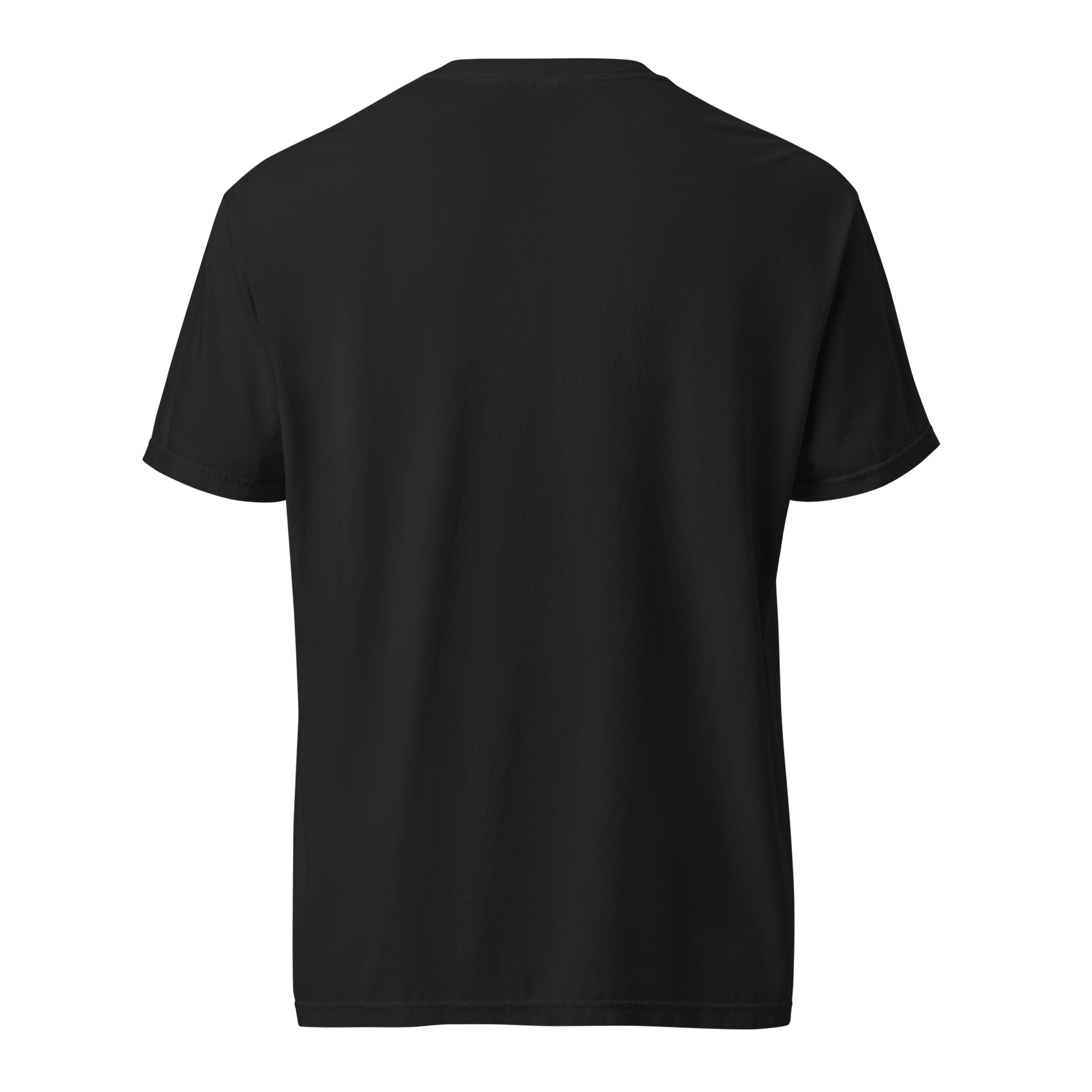 America’s 250th anniversary chicken keeper shirt featuring patriotic farmhouse artwork, heritage hen, American flag, and Freedom Family and Flock design